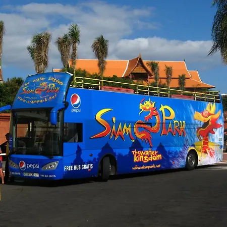 Summerland ロスクリスティアーノス