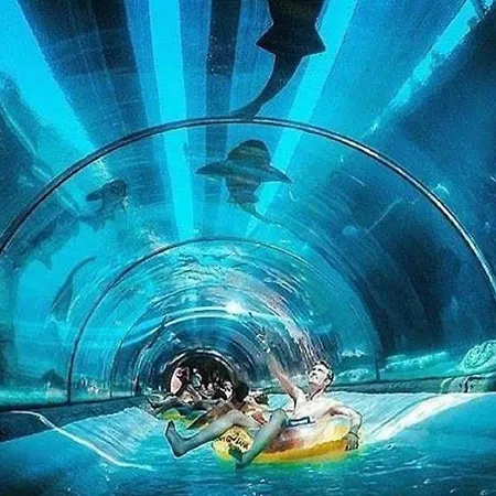 Summerland アパート